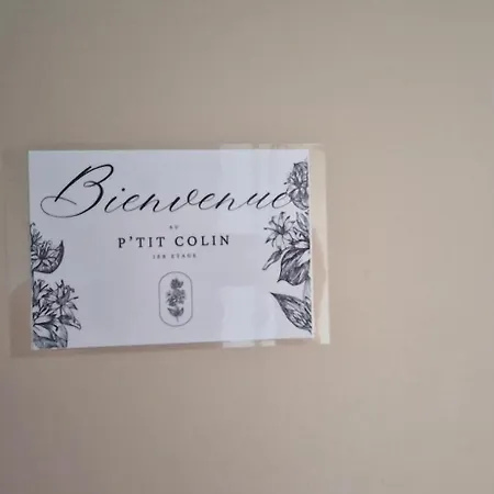 Le Petit Colin 1er *